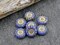 *12* 13mm Gold Washed Royal Blue Silk Sunflower Coin Beads